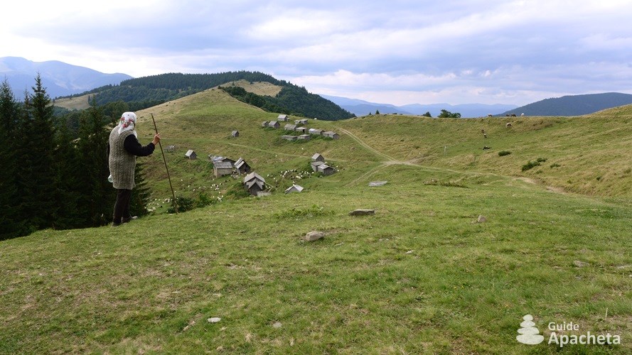 Great Transcarpathian Trail