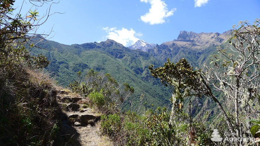 Inca cities of Vilcabamba