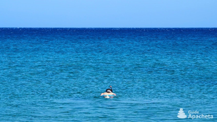Snorkeling ou randonnée subaquatique